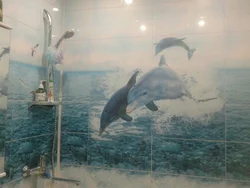 Delfinlar Bilan Hammom Fotosuratidagi Panellar