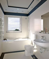 Ceiling In A Small Bath And Toilet Photo