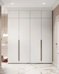 Hallway cabinets with hinged doors and mezzanines photo