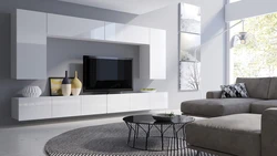 Modular living room in a modern style, full wall photo