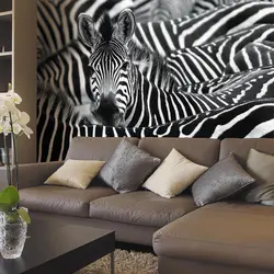 Daxili Qonaq Otağı Zebra