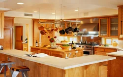 House kitchen interior