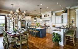 House kitchen interior