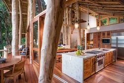 Tropical kitchen interior