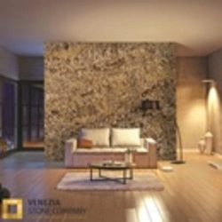 Granite in the living room interior