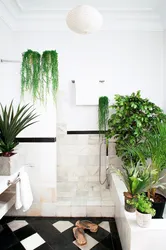 Greenery In The Bathroom Interior