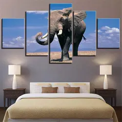 Elephant in the living room interior