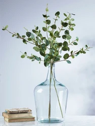 Eucalyptus in the kitchen interior