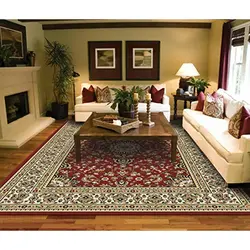 Living Room Interior With Dark Carpet