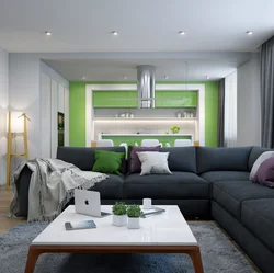Gray green living room kitchen interior