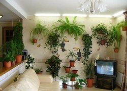 Flowers on the floor in the living room interior