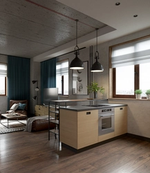 Euro One-Room Kitchen Design