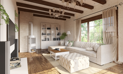 Living room design light wood