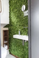 Bathroom Design With Grass