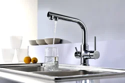 Kitchen Taps With Water Filter Photo