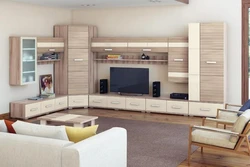Living room furniture in a modern style in light colors photo inexpensively
