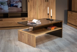 Modern design living room table