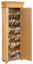 Shoe Cabinets In The Hallway Photo Inexpensive