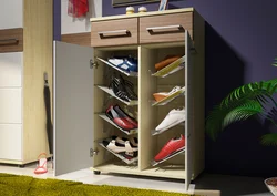 Шкафы Для Обуви В Прихожую Фото Недорого