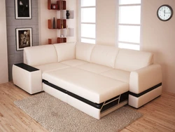 Sofas In The Living Room With A Sleeping Place Photo