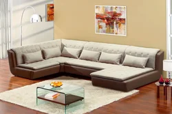 Sofas In The Living Room With A Sleeping Place Photo