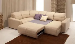 Sofas In The Living Room With A Sleeping Place Photo