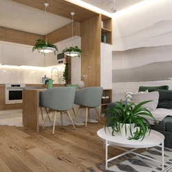 Eco kitchen living room design