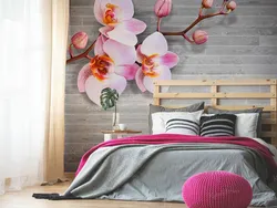 Orkide yataq otağı fotoşəkili