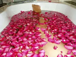 Bath with rose petals photo