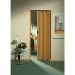 Дверь гармошка на кухню фото
