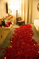 The Whole Bedroom Is Covered In Roses Photo