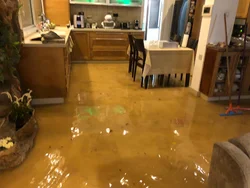 Затопленная кухня фото