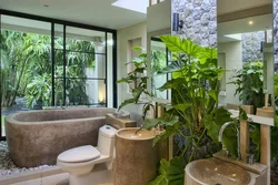 Bath With Plants Photo
