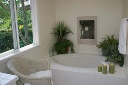 Bath with plants photo