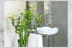 Өсімдіктер фотосуреті бар ванна