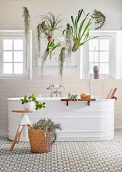 Ванна с растениями фото