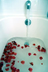 Photo bath with petals