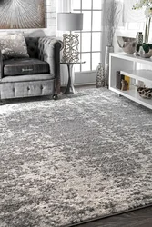Gray Carpet In The Living Room Interior