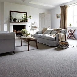 Gray Carpet In The Living Room Interior