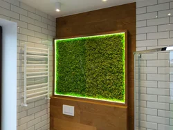 Stabilized moss in the bathroom interior photo