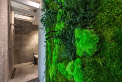Stabilized moss in the bathroom interior photo