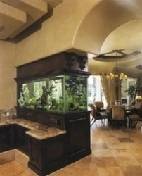 Kitchen with aquarium photo