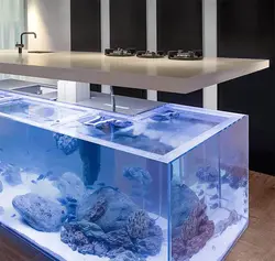 Kitchen with aquarium photo