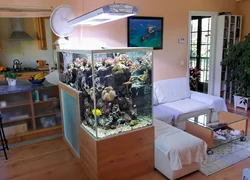Жатын бөлмесіндегі аквариум фотосуреті