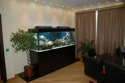 Aquarium In The Bedroom Photo