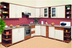 Мебель 169 кухни угловые фото
