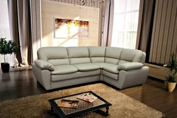 Inexpensive sofas for the living room photo