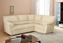 Inexpensive sofas for the living room photo