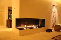 Built-In Bio-Fireplace In The Living Room Interior Photo