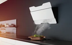 Electric kitchen hoods photo
